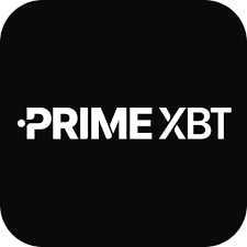 The Power of PrimeXBT Options Navigating the Future of Trading